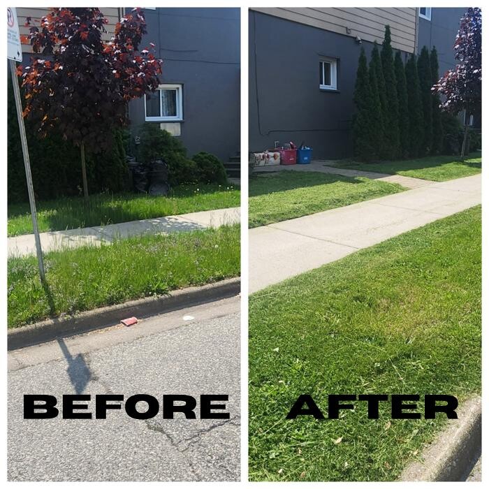Images Handelsman's Quality Mowing