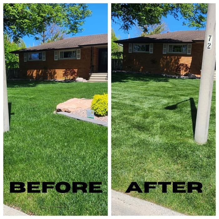 Images Handelsman's Quality Mowing
