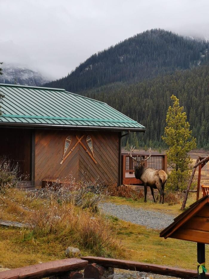 Images Mount Engadine Lodge