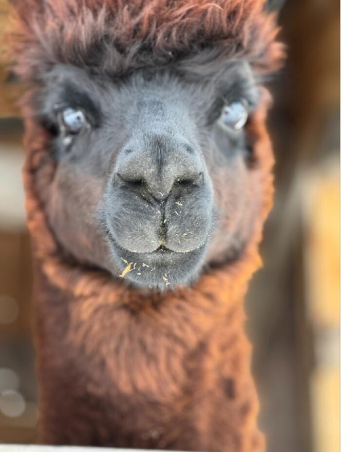 Images Ferme MarieBob