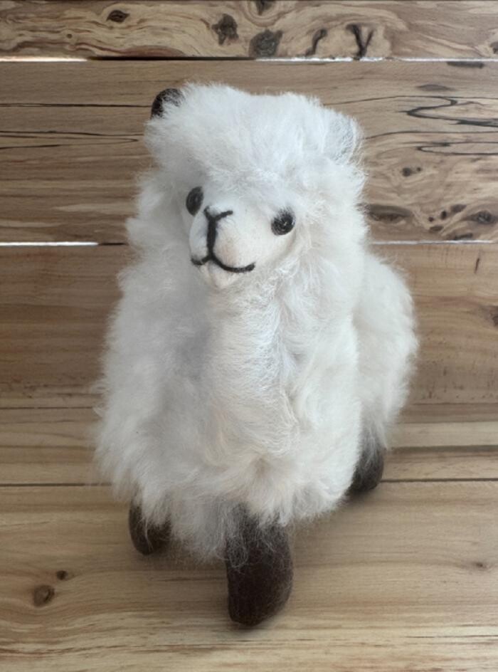 Images Ferme MarieBob