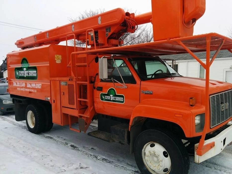 Images V And J Tree Services