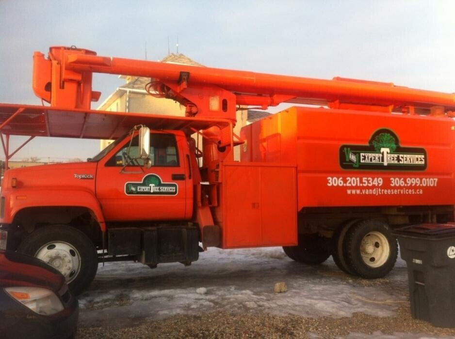 Images V And J Tree Services