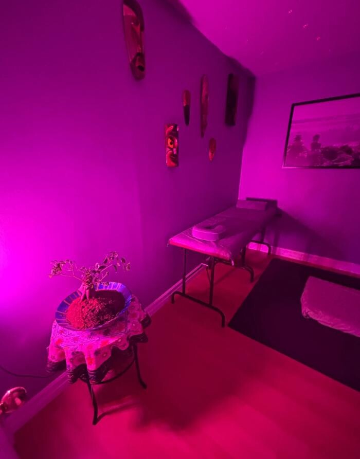 Images Massage Zentantra