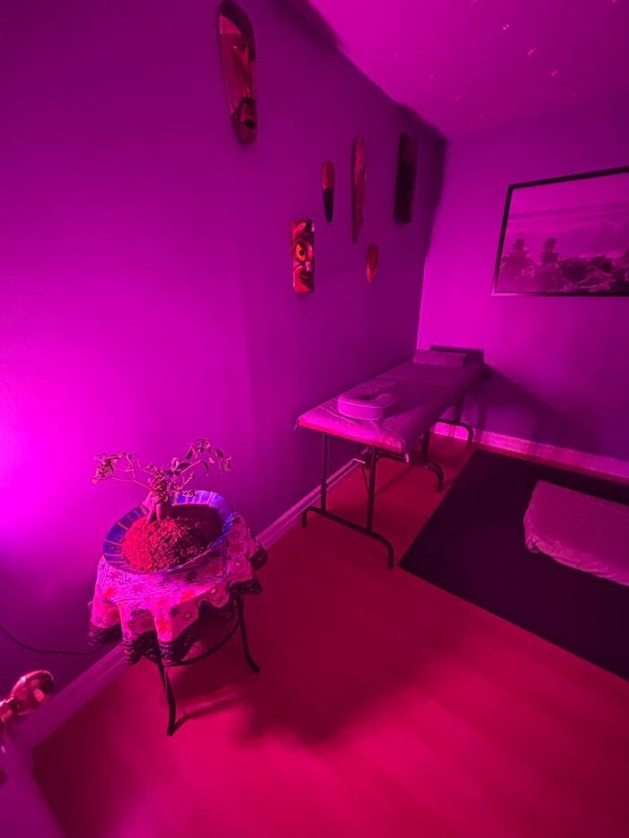 Images Massage Zentantra