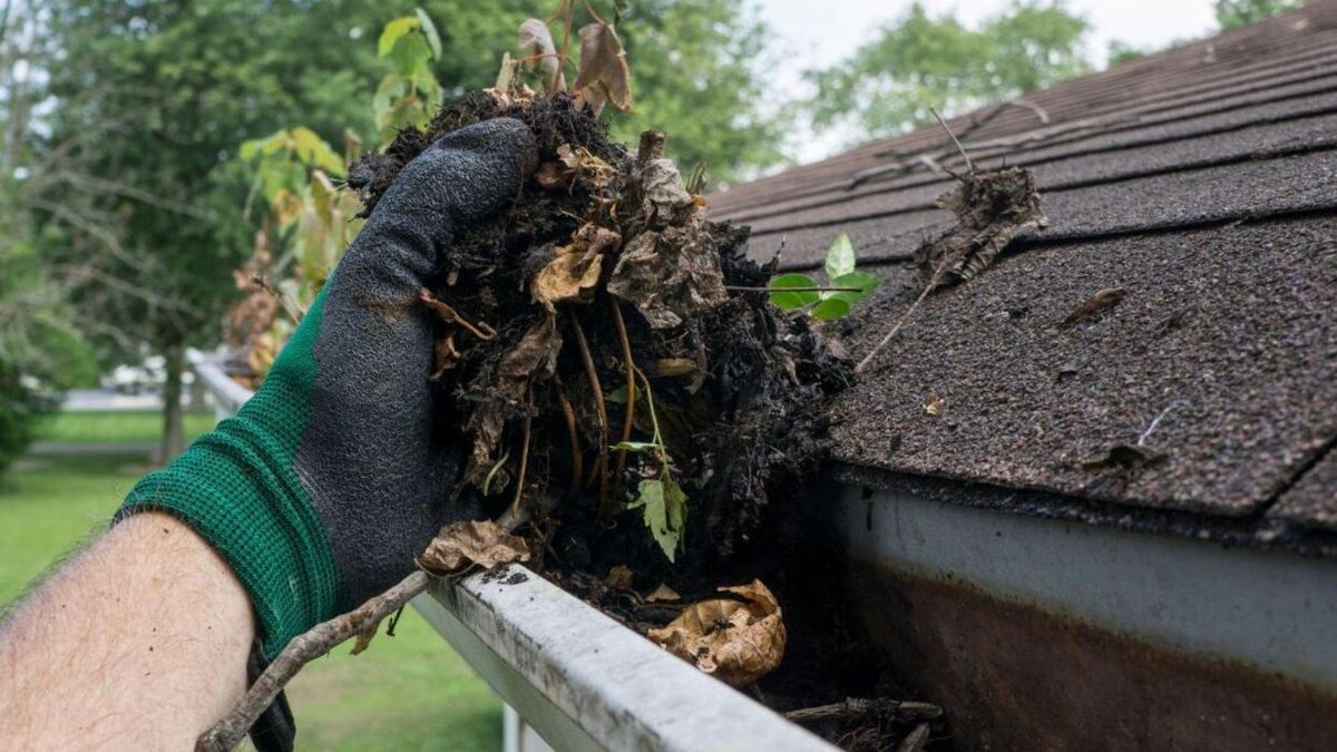Images Clean My Dirty Gutters