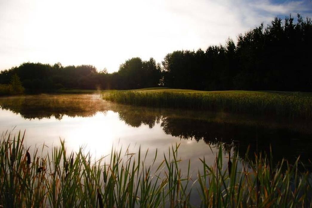 Images Better in Barrhead