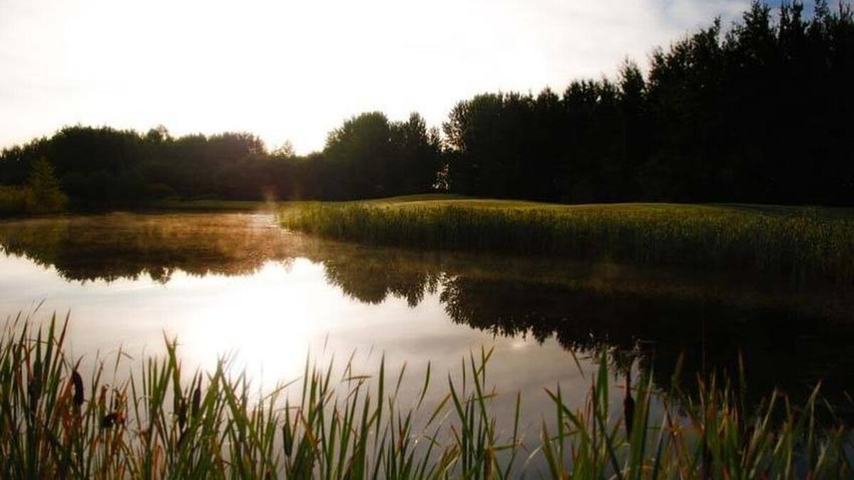Images Better in Barrhead