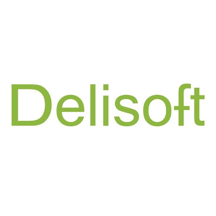 Conception site web Delisoft - Agence web Rive-Sud de Longueuil Logo