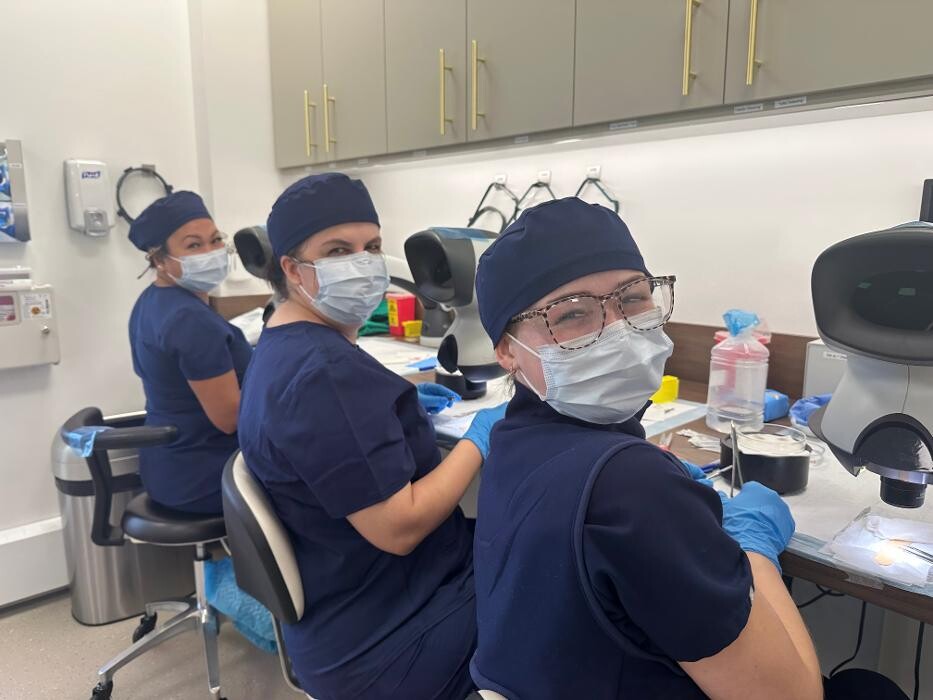 Images De Haar Hair Restoration