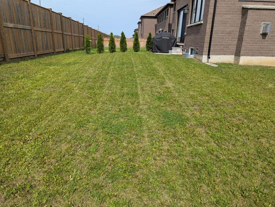 Images JD's Lawn Service
