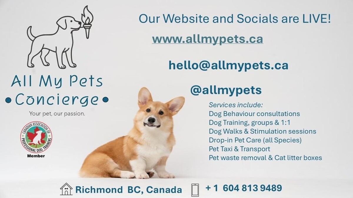 Images All My Pets