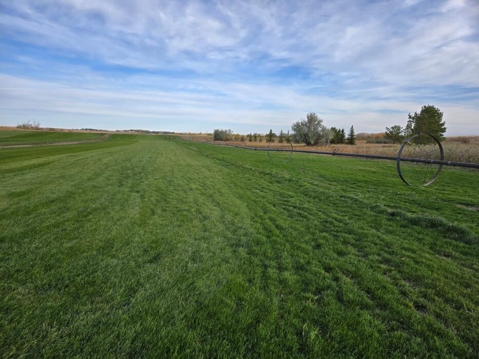 Images Emerald Valley Sod