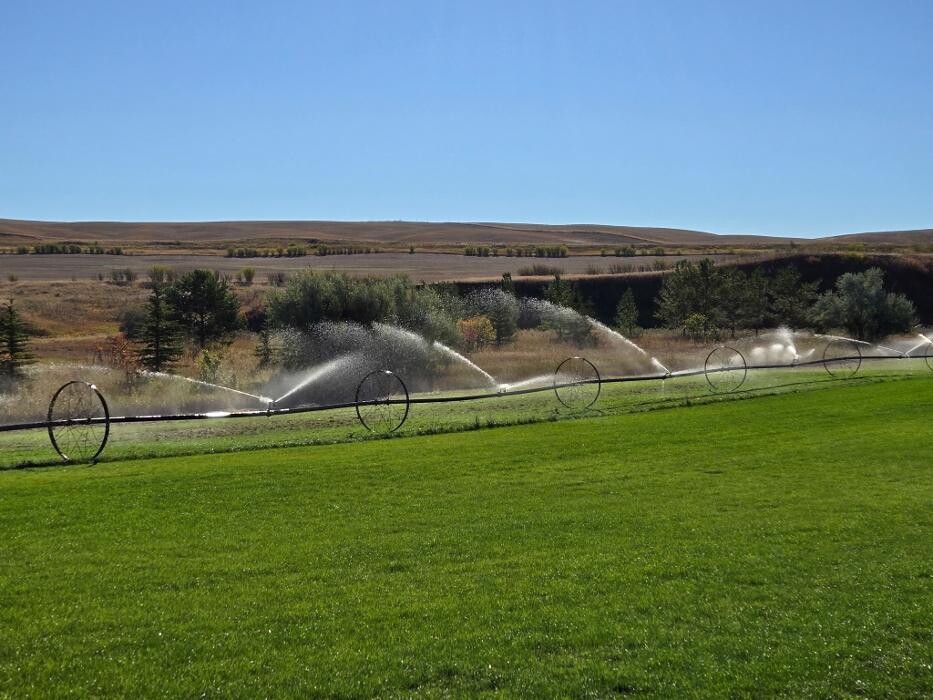Images Emerald Valley Sod