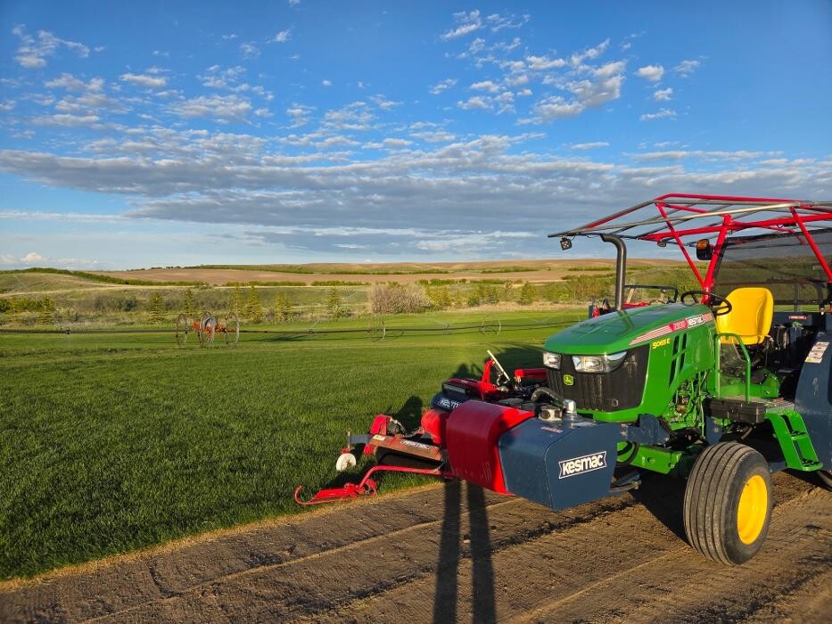 Images Emerald Valley Sod