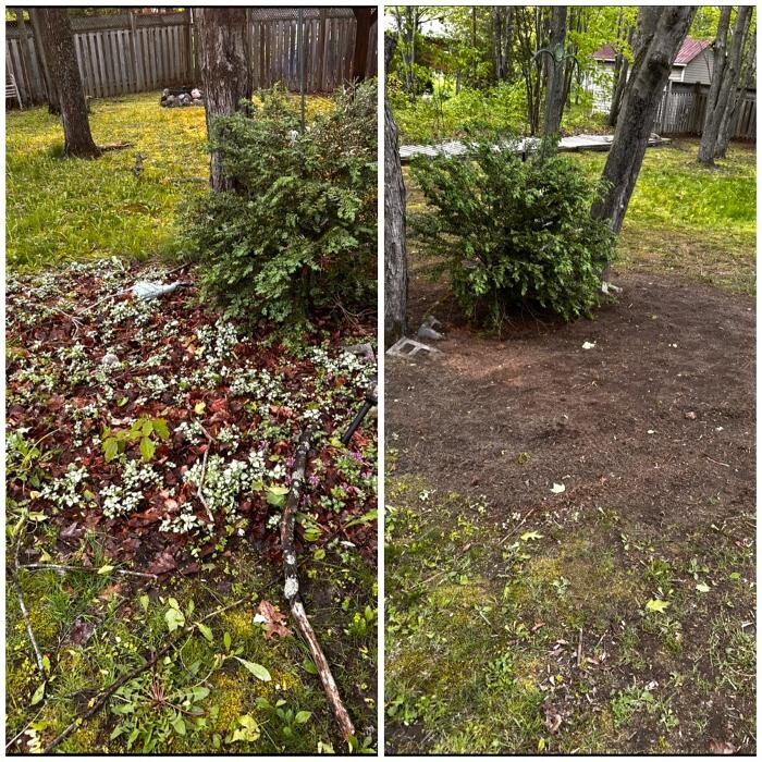 Images Barvestal Lawn Care