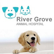 River Grove Animal Hospital Logo