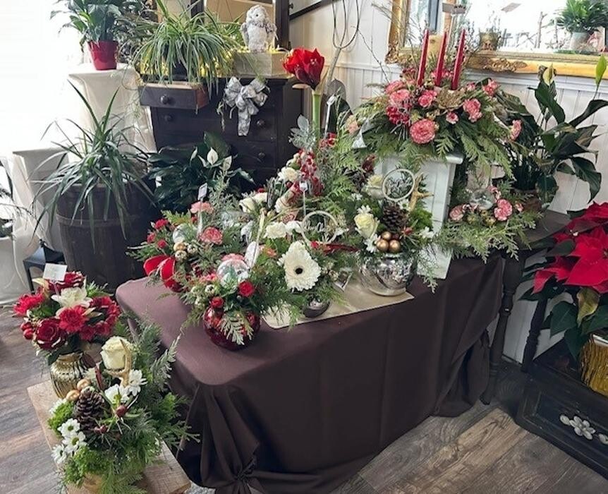 Images Plant's Flower Pot & Gifts