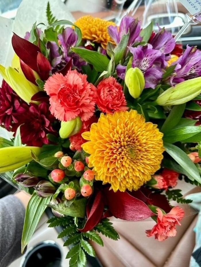 Images Plant's Flower Pot & Gifts