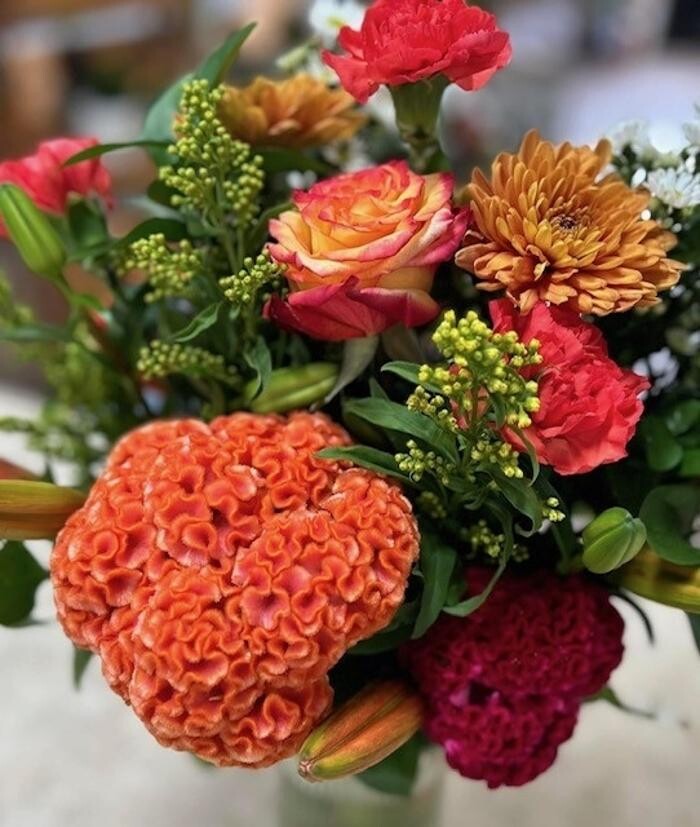 Images Plant's Flower Pot & Gifts