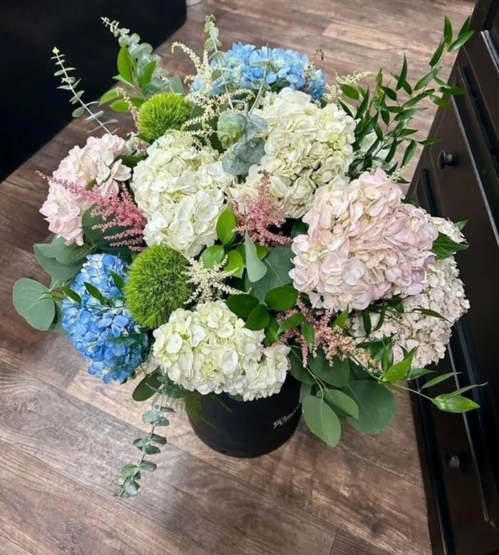 Images Plant's Flower Pot & Gifts