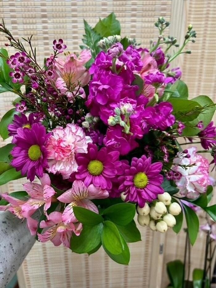 Images Plant's Flower Pot & Gifts