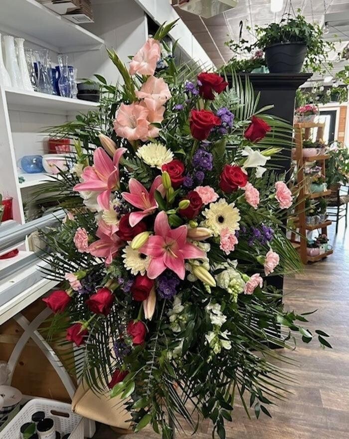 Images Plant's Flower Pot & Gifts