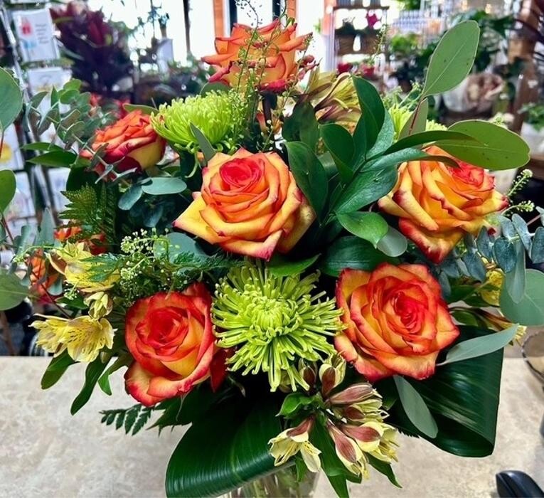 Images Plant's Flower Pot & Gifts