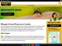 Website Screenshot Mosquito Hero