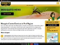Website Screenshot Mosquito Hero