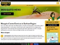 Website Screenshot Mosquito Hero