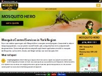 Website Screenshot Mosquito Hero