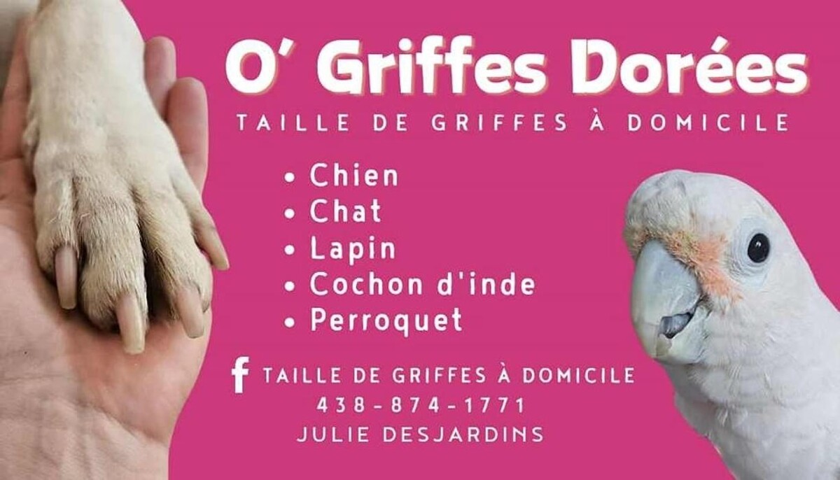 Images O griffes dorés