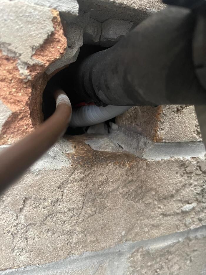 Images Pestline - Pest Control Toronto