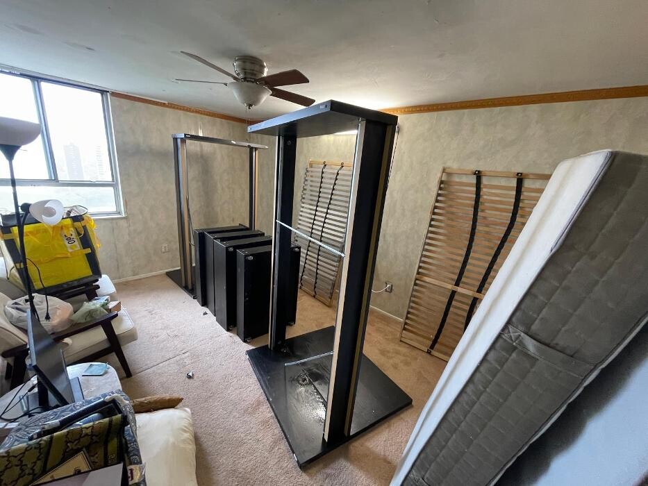 Images Pestline - Pest Control Toronto
