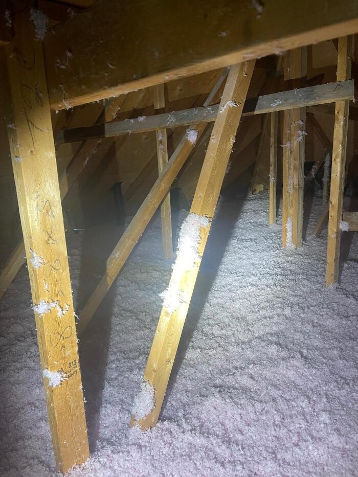 Images Pestline - Pest Control Toronto