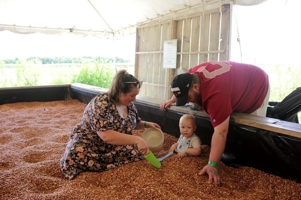 Images Clovermead Adventure Farm | Honey Shop