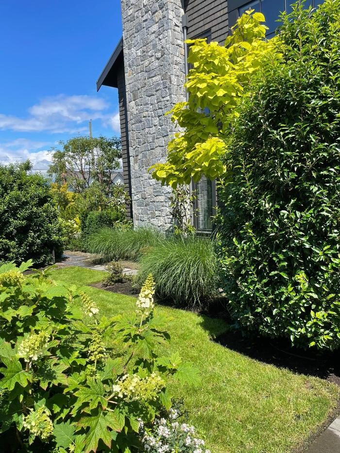 Images Markham Landscaping Services