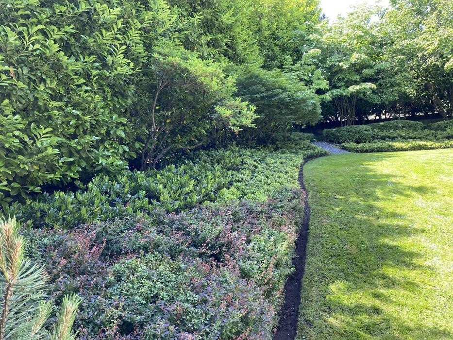Images Markham Landscaping Services