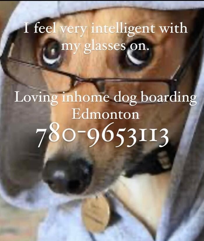 Images Wag's Doggie Vacation Hotel And Resort