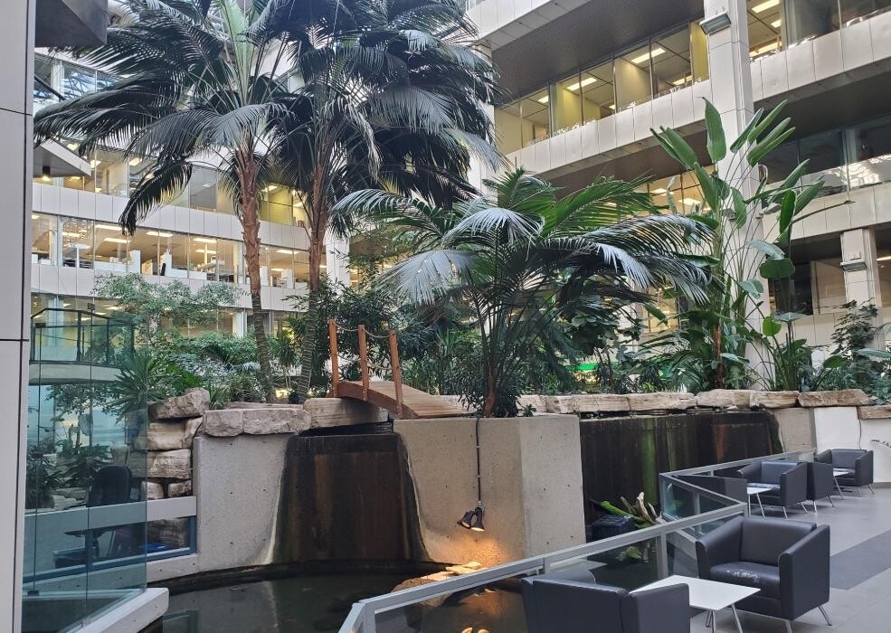 Images HeartConnect Psychology and Healing