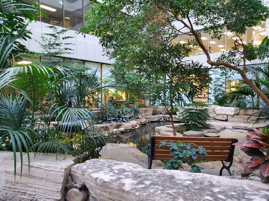 Images HeartConnect Psychology and Healing