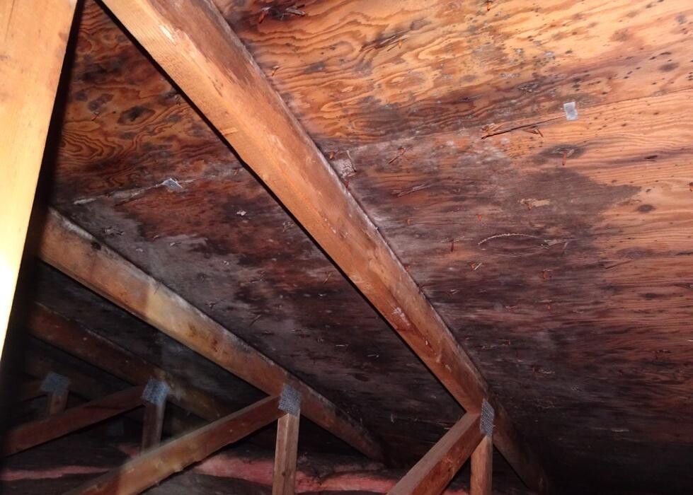 Images GOLOTON Home Inspection Services