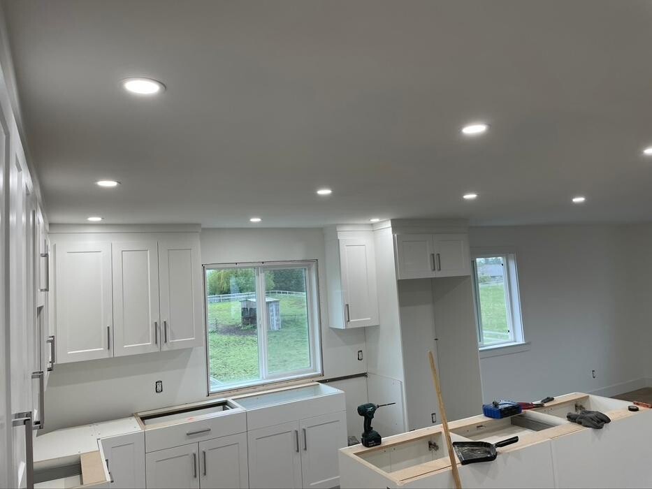 Images Swiss Guy Electrical