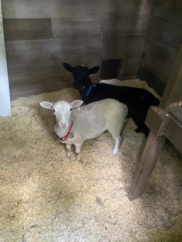 Images Shepherd's Trails