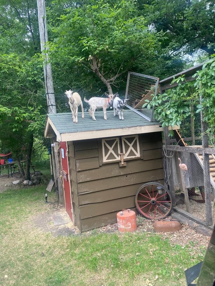 Images Shepherd's Trails