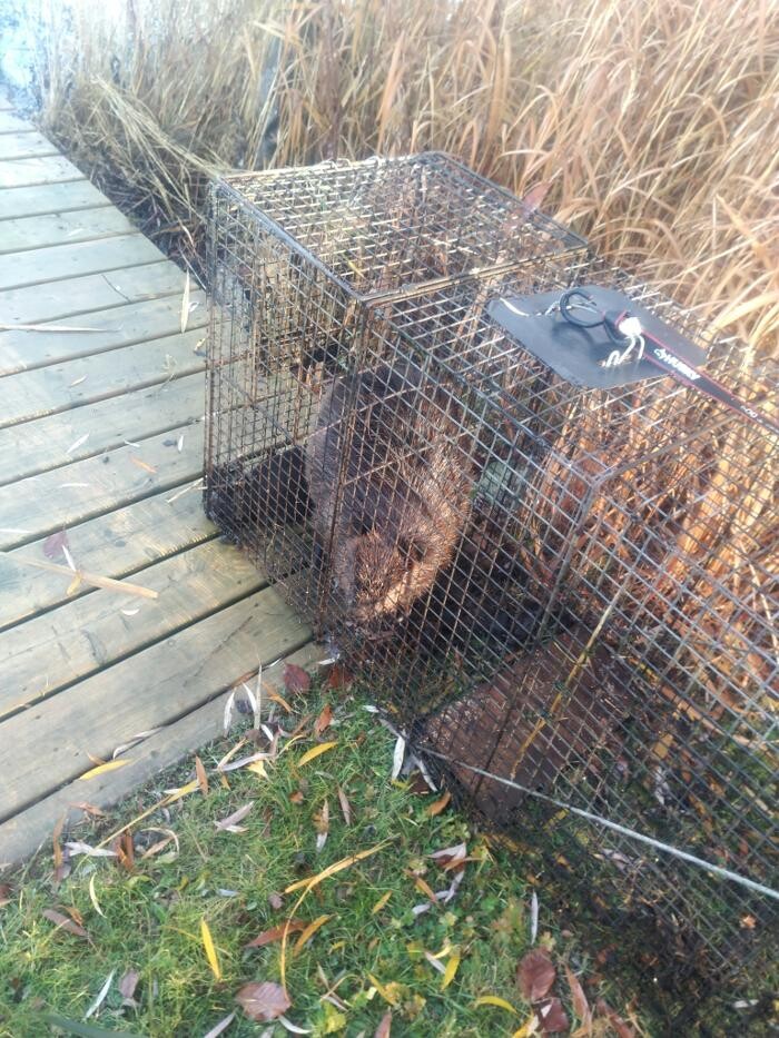 Images Patrick Enterprises Canada