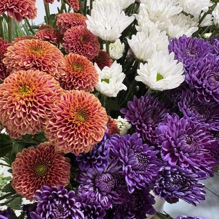 Images Radiance Florist & Gift Shop