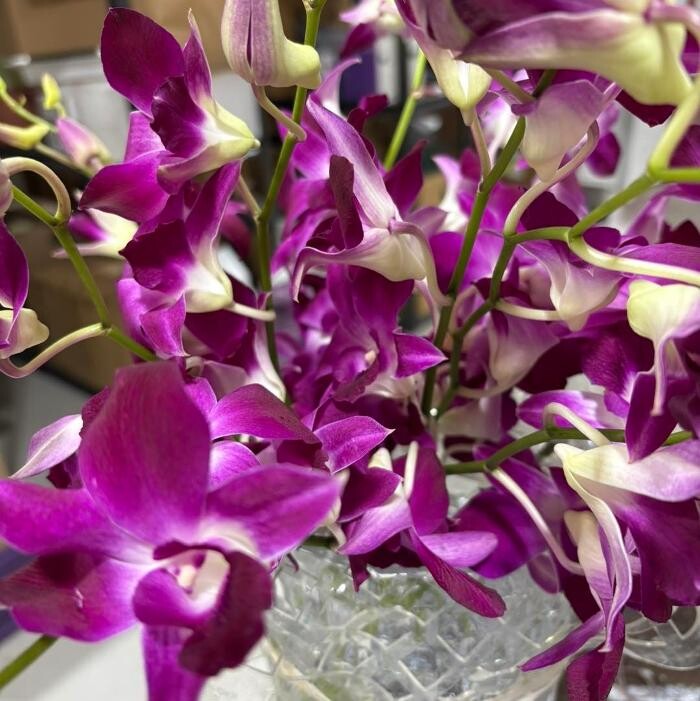 Images Radiance Florist & Gift Shop