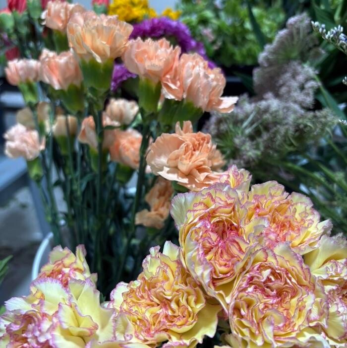 Images Radiance Florist & Gift Shop